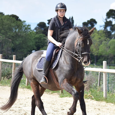 The opinion of Elisa, experienced dressage rider