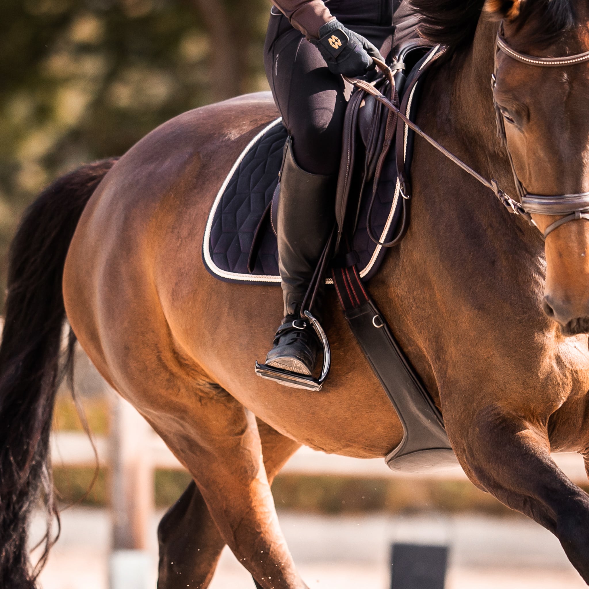 Choisir sa selle cheval et étriers adaptés Choisir sa selle cheval et étriers adaptés