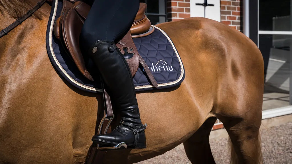 Do Spurs Hurt Horses? Your Guide to Gentle Riding Ophena