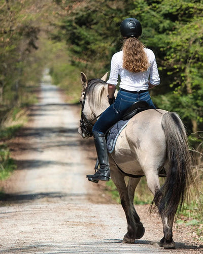 Summer Care Guide: Essential Tips for Horse and Rider