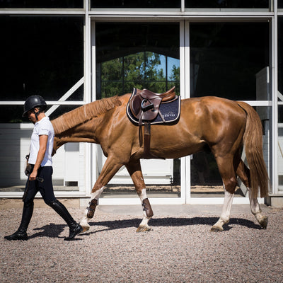 The 7 Equestrian Brands Capturing the Industry's Attention