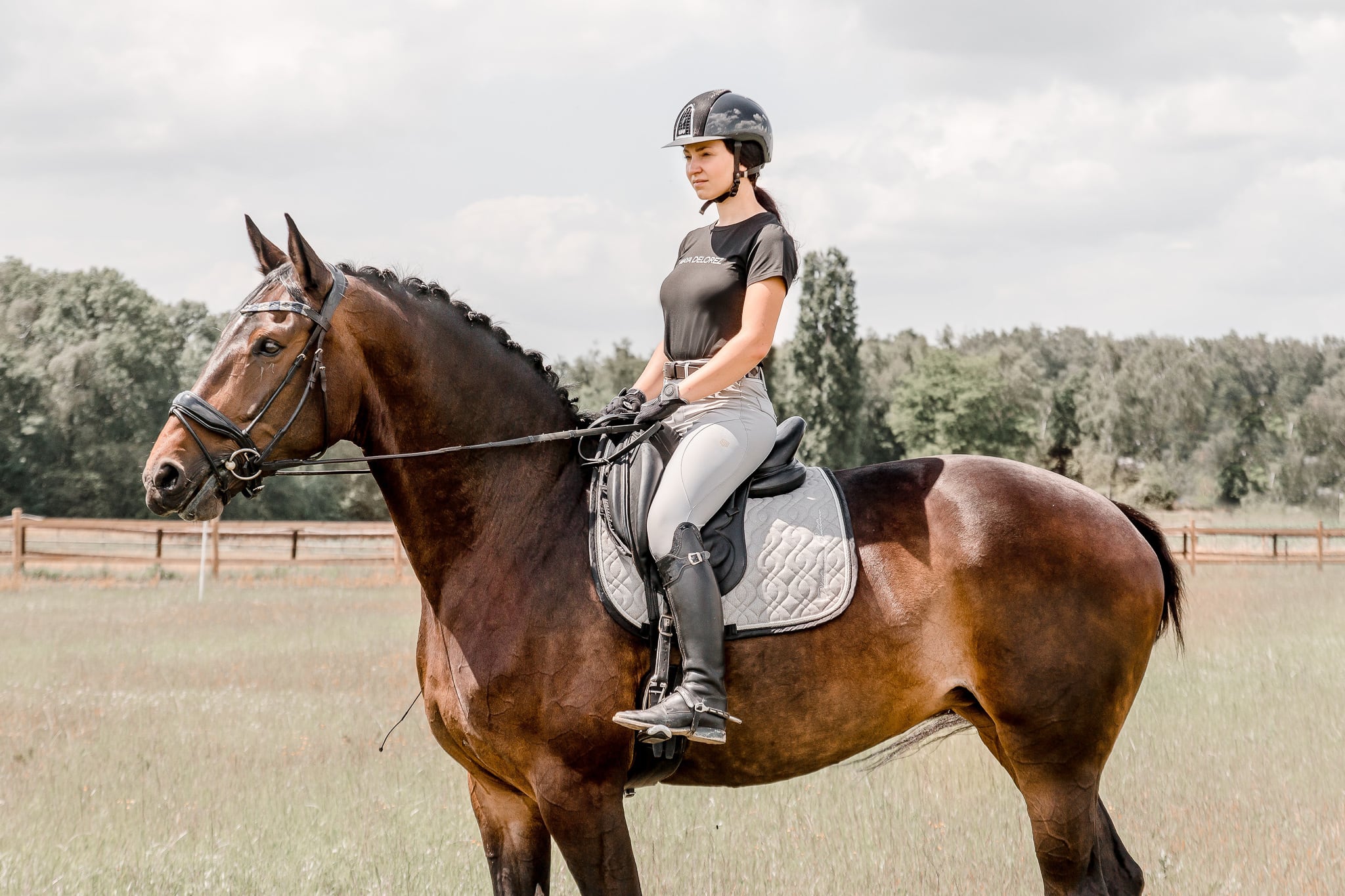 How Do Dressage Judges Score Rider's Seat and Aids? | Ophena