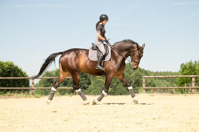 Dressage: How to do the best warm up at shows (with safety stirrup advice)