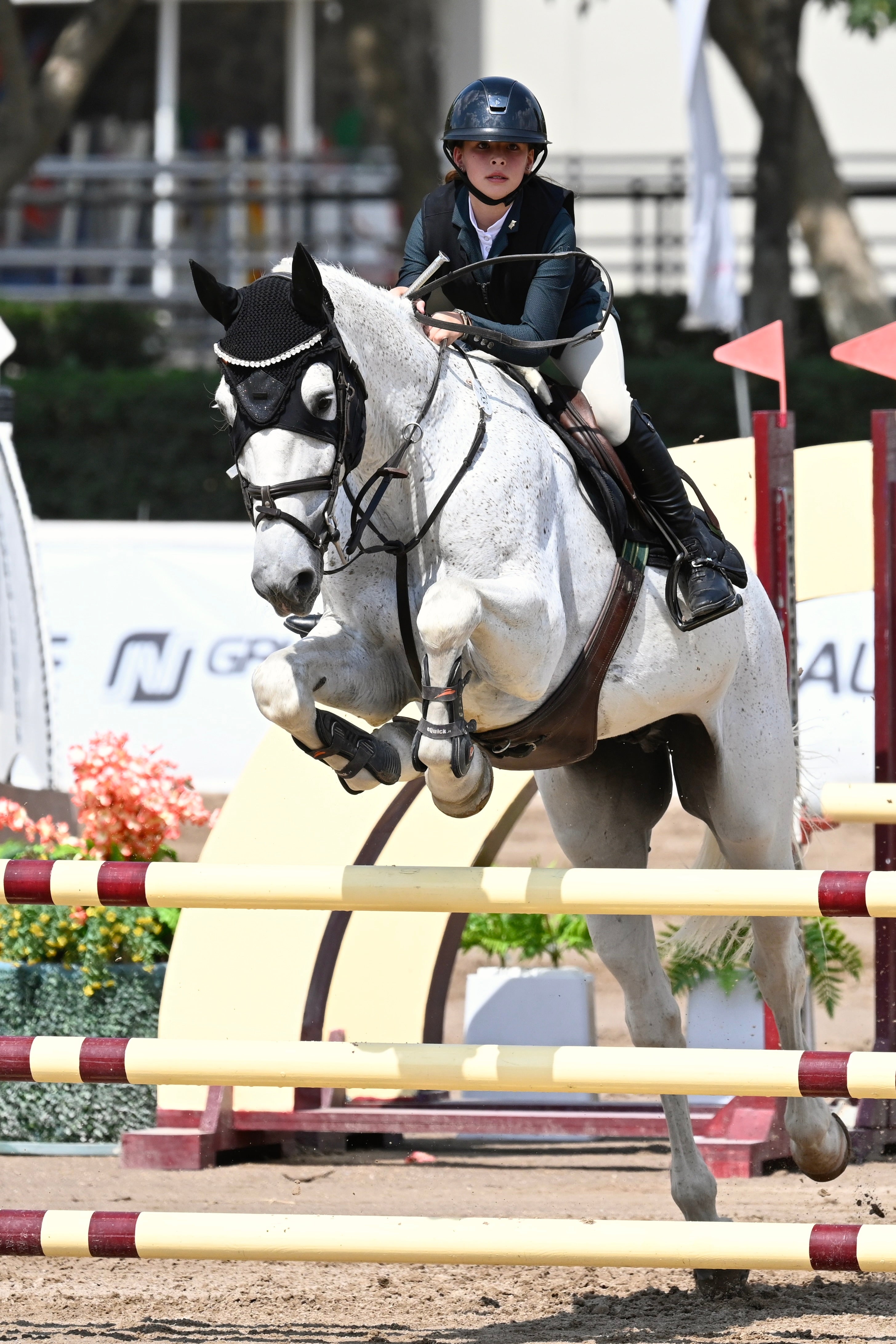 Budgeting for Beginners: How expensive is horse riding? | Ophena