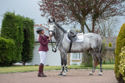 Safety Stirrups vs. Traditional Stirrups: A Comprehensive Comparative Analysis