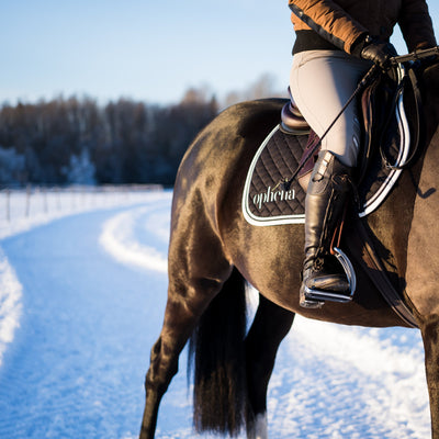 The Science Behind Ophena's Safety Stirrups