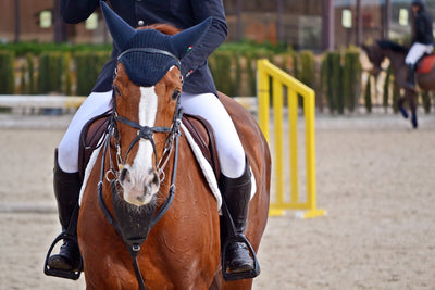 Why you should read safety stirrup reviews