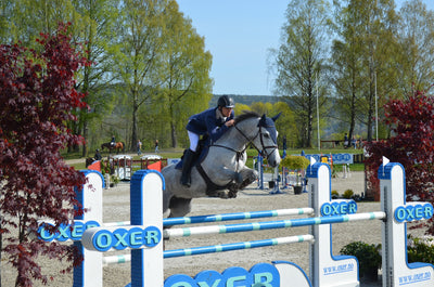 Top 7 showjumping tips to make you a better rider