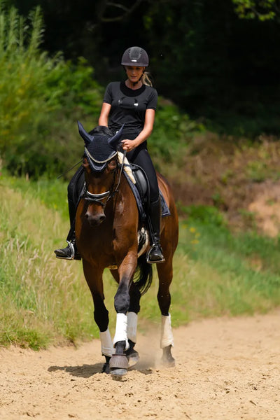 Cómo comunicarme con éxito con mi caballo