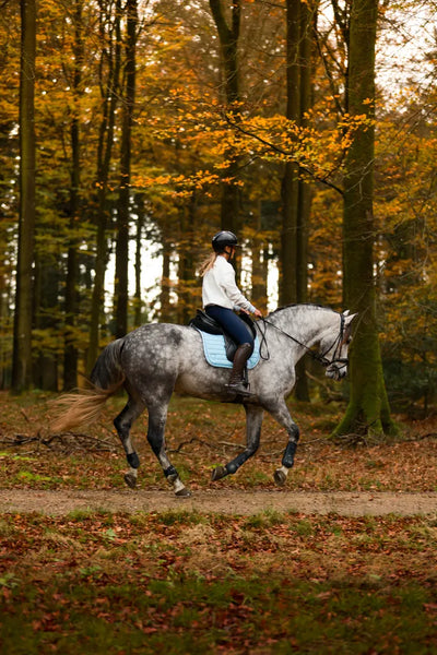 Horse Riding Mistakes You Didn't Know You're Making