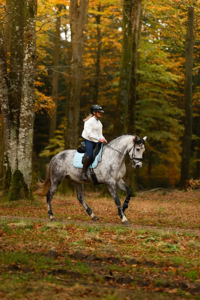 Safety Stirrups Guide 2025: Best Options for Riding Schools