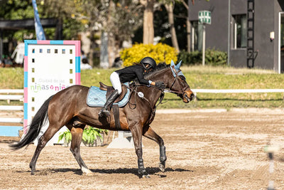 Cómo elegir un caballo en función de tu altura y peso