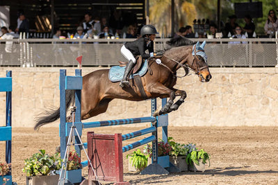 Perfect Your Canter: 5 Safety Tips Every Rider Should Know